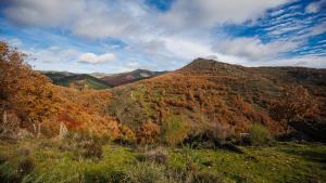 Otoño en el Hayedo de Montejo Hayedo de Montejo
