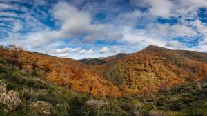 Otoño en el Hayedo de Montejo Hayedo de Montejo