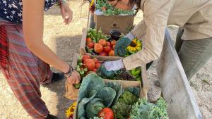 Agroliving Lab del IMIDRA