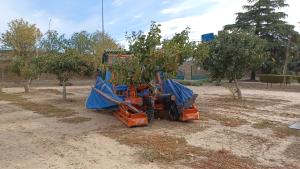 Máquina recolectando pistachos
