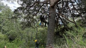 Agentes Forestales protegiendo aves