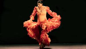 Festival Suma Flamenca 