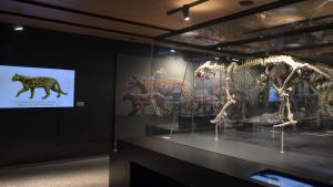 Parte de la exposición