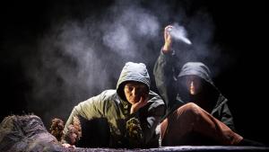 festival Teatralia