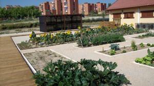 Plantaciones de huerta y girasoles al fondo