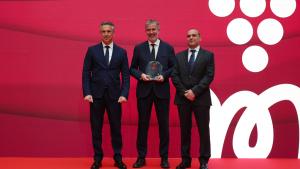 La Comunidad de Madrid reúne a 28 productores en la XXIV edición de su Salón de los Vinos El consejero Novillo