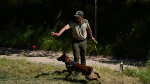 Agente Forestale con perro
