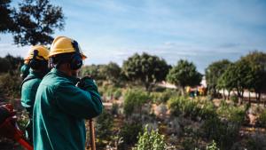 Díaz Ayuso el plan de conservación de bosques Madrid Forestal que ayudará a prevenir incendios
