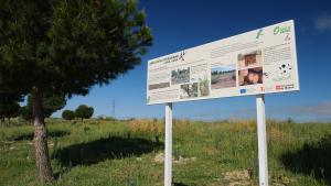 Parque Forestal de Valdebebas