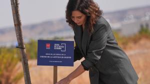 La presidenta Isabel Díaz Ayuso