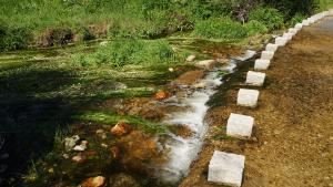 Tramo de Valdeloshielos a Arroyo Tejeda