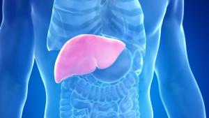 Eliminación de la Hepatitis C
