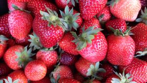 fresas en bandeja