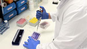 investigando en el laboratorio