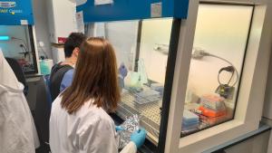 Investigación 