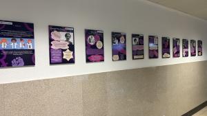 Exposición Mujeres científicas
