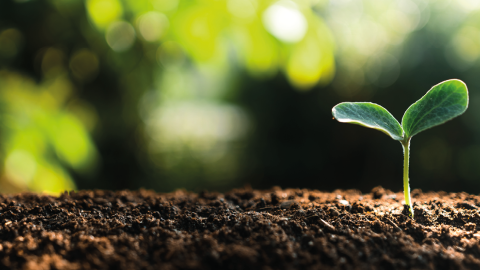 Imagen de cabecera de suelos contaminados