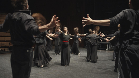 Ballet Español Comunidad de Madrid