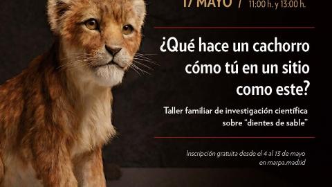 Cartel informativo taller familiar "¿Qué hace un cachorro como tú en un sitio como este?"
