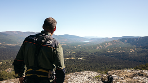 Agente forestal de espaldas
