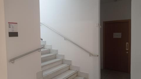 Vista de unas escaleras y una puerta que da a un baño