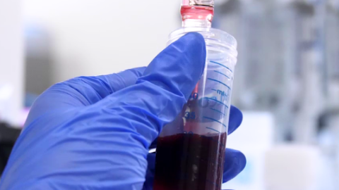 investigación 12 de Octubre Mano con guante azul con una jeringa con líquido rojo y de fondo laboratorio
