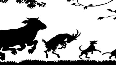 Taller Entre libros y animales