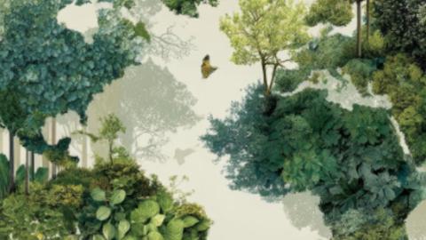 Un mapa del mundo tejido por bosques