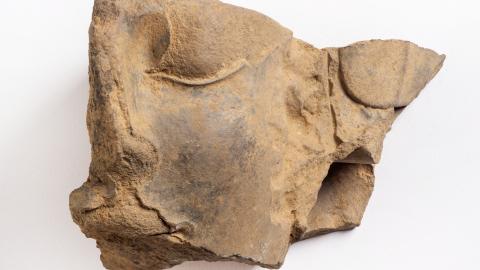 Escultura de rostro humano en piedra aparecida en el yacimiento extremeño de Casas del Turuñuelo