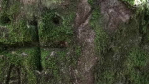Cruz tallada en una piedra con musgo