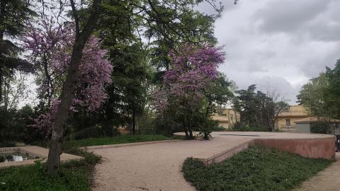 Noria de Navarro
