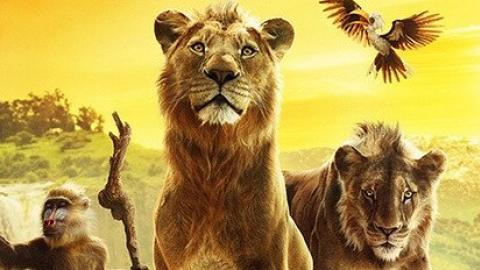 MUFASA