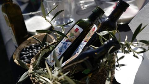 Botellas de aceites entre olivos