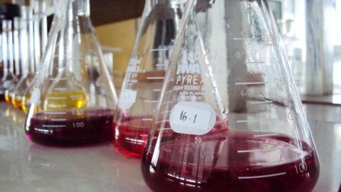Investigación