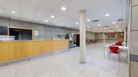Cafetería. Espacio amplio y luminoso con un mostrador de madera.