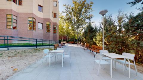 Jardín. A uno de los costados de la residencia hay zonas de tierra y césped. Al fondo y a la derecha árboles altos y tupidos. En la zona central de suelo de piedra hay varias bancas de madera y al menos dos mesas con sillas.