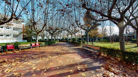 Jardín. Jardín exterior con una zona de césped, árboles y setos altos que lindan con una valla. En el centro destaca un camino pavimentado y un par de bancos de madera bajo la sombra.