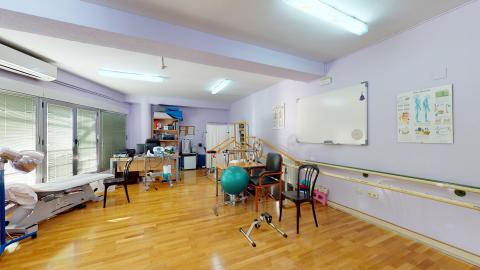 Fisioterapia. Amplia sala de fisioterapia con paredes pintadas de un tono morado muy claro, suelo de parqué de madera brillante y abundante luz natural que entra por un gran ventanal con lamas verticales a la izquierda. El espacio está equipado con aparatos de rehabilitación y fortalecimiento varios.