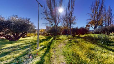Jardín. Amplio jardín exterior cubierto de hierba verde y pequeñas flores silvestres amarillas, fotografiado en un día muy soleado y luminoso. Destacan varios olivos y árboles altos de hoja caduca que proyectan sombras alargadas sobre el césped. Al fondo, bajo un cielo azul intenso, se divisa a lo lejos la silueta de la torre de un castillo de piedra.