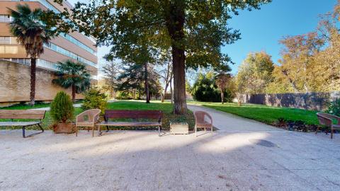 Jardín. Zona exterior soleada y arbolada con un camino de tierra que cruza un jardín de césped verde. En primer plano destaca un paseo pavimentado con varios bancos de madera y sillas de mimbre orientadas hacia los árboles. Al fondo a la izquierda se aprecia la fachada de un edificio residencial de ladrillo visto bajo un cielo azul despejado.