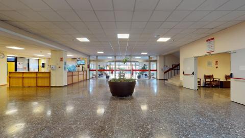 Recepción. Gran vestíbulo de entrada muy espacioso y luminoso con suelo de terrazo pulido. En el centro destaca un gran macetero circular oscuro con plantas verdes. Al fondo se aprecian amplias puertas acristaladas que dan acceso al exterior, y a la izquierda se ubican los mostradores de recepción de madera clara.