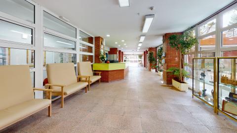 Pasillo. Un pasillo ancho y luminoso con paredes de ladrillo visto y grandes ventanales con carpintería blanca que dan al patio exterior. Incluye una zona de estar con sillas beige.