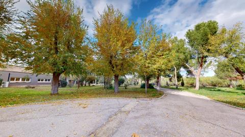 Jardín. Zona de jardín exterior espaciosa en un día parcialmente nublado. Un camino de asfalto gris se curva a través del césped verde, bordeado por una fila de árboles de hoja caduca con follaje otoñal amarillo y verde. Al fondo a la izquierda se divisa parte del edificio de la residencia con ventanas. El suelo está parcialmente cubierto de hojas secas.