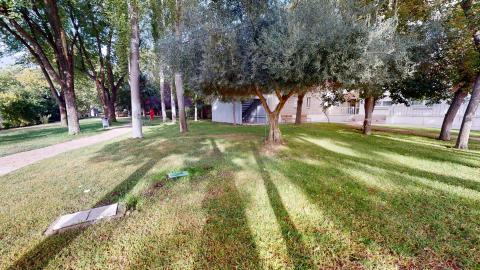 Jardín. Extensa zona verde con árboles y senderos. Un espacio natural muy luminoso y colorido. Se aprecian algunas zonas de descanso con bancos. Ideal para pasear y disfrutar del aire libre.
