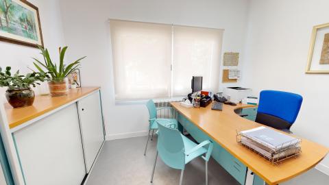 Trabajo social. Despacho luminoso con paredes blancas y suelo gris claro. Tiene una amplia ventana frontal cubierta con un estor translúcido que aporta mucha claridad. Destaca una mesa de oficina esquinera en forma de L de madera clara con una silla de ruedas azul, acompañada por dos confidentes de color verde agua y un mueble aparador blanco a la izquierda rematado con plantas decorativas.