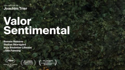 Valor sentimental Cine verano