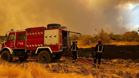 bomberos de la Comunidad de Madrid vigilando el ganado y los pastos