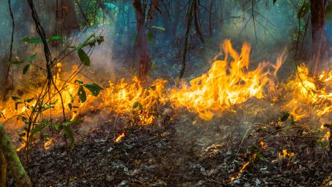 reportaje_incendios_imagen