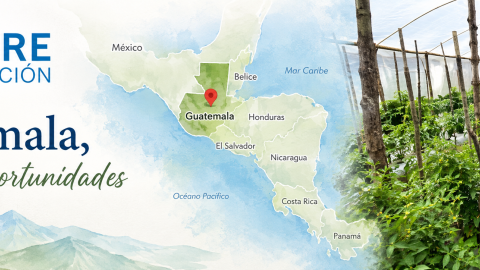 Guatemala Fabre