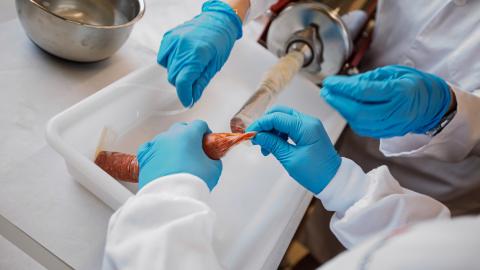 La Comunidad de Madrid estudia cómo obtener productos cárnicos más saludables a partir de fórmulas de aceite de oliva virgen extra expertos del IMIDRA sustituyen la grasa animal por esta emulsión vegetal